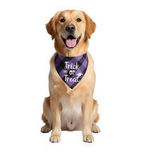 Milo-Halloween Scarf