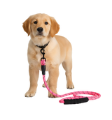 Lia-Rope Leash