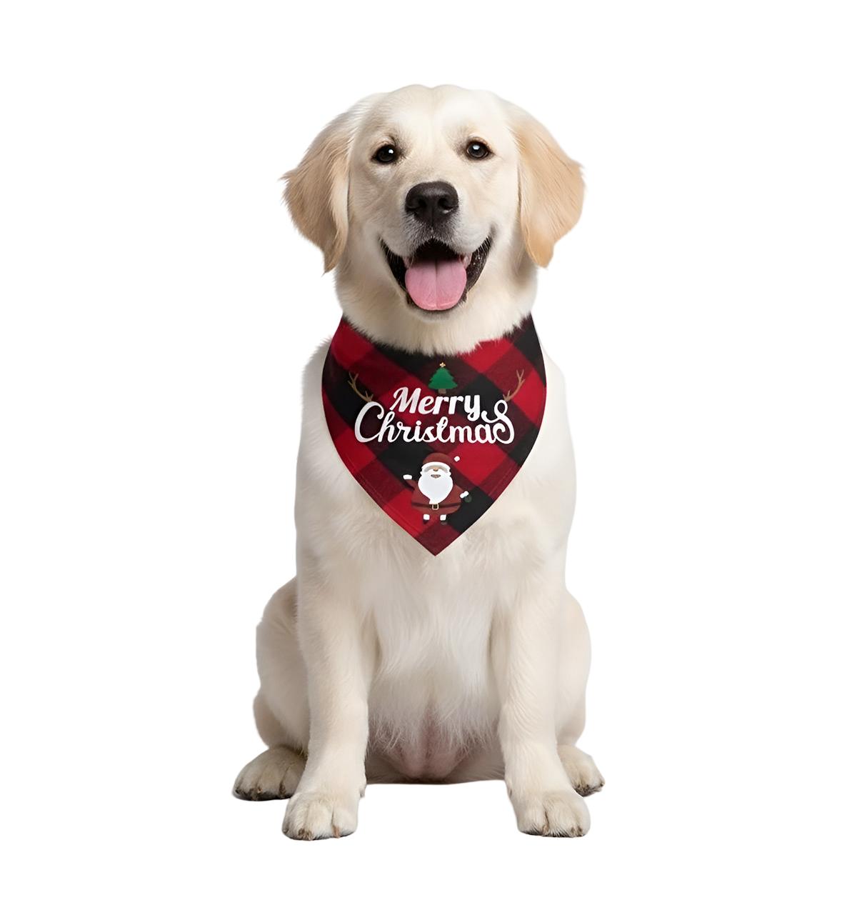 Lori-Holiday Bandana