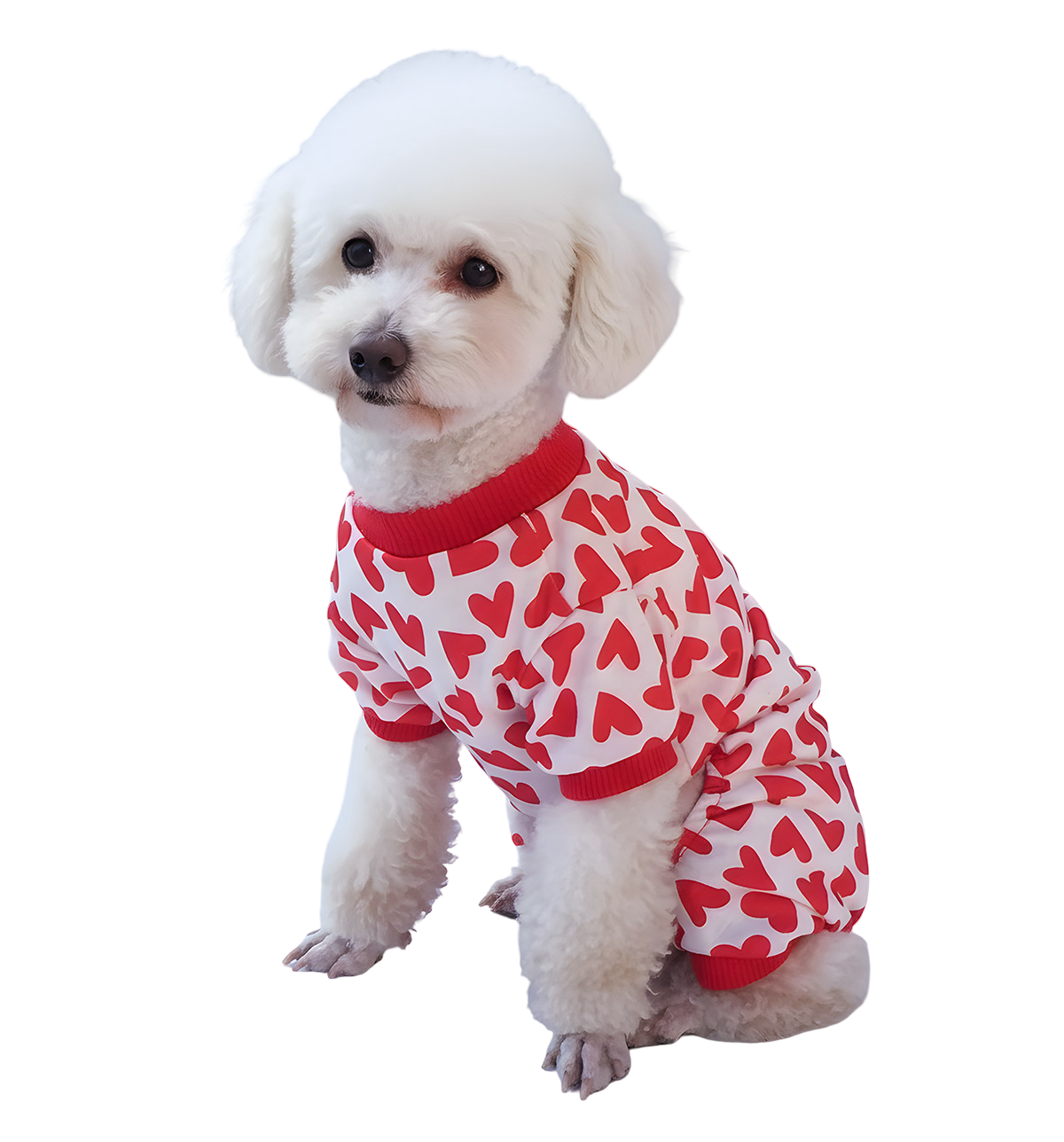 Leni-Valentine Pet Suit