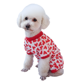 Leni-Valentine Pet Suit