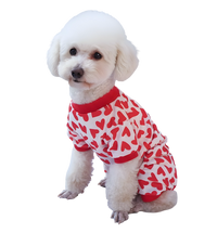 Leni-Valentine Pet Suit