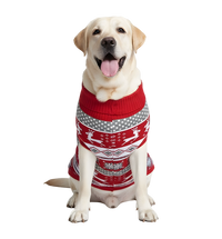 Rafi-Christmas Pet Sweater