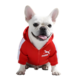 Rex-Sport Dog Hoodie