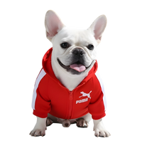 Rex-Sport Dog Hoodie