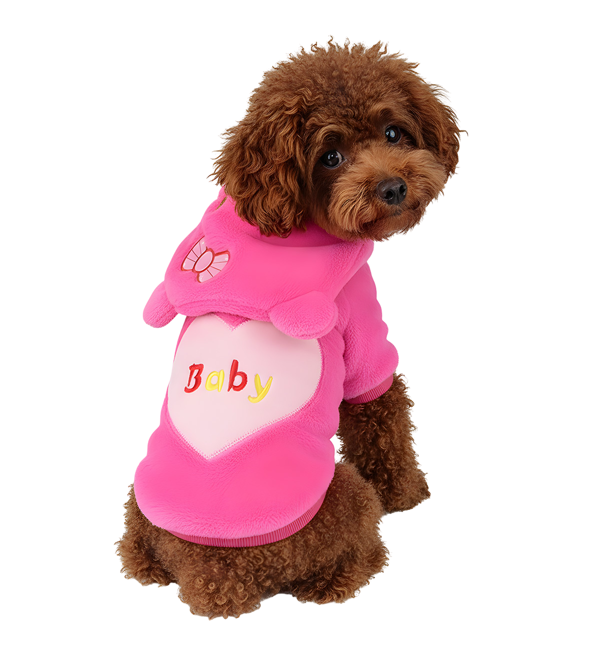 Dory-Sweet Pet Jacket