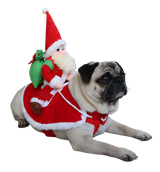 Noly-Santa Rider Suit