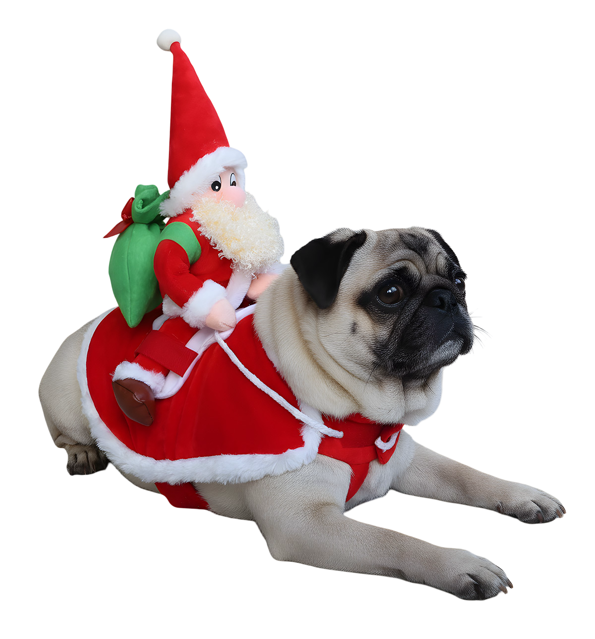 Noly-Santa Rider Suit