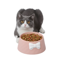Lila-Bow Pet Bowl
