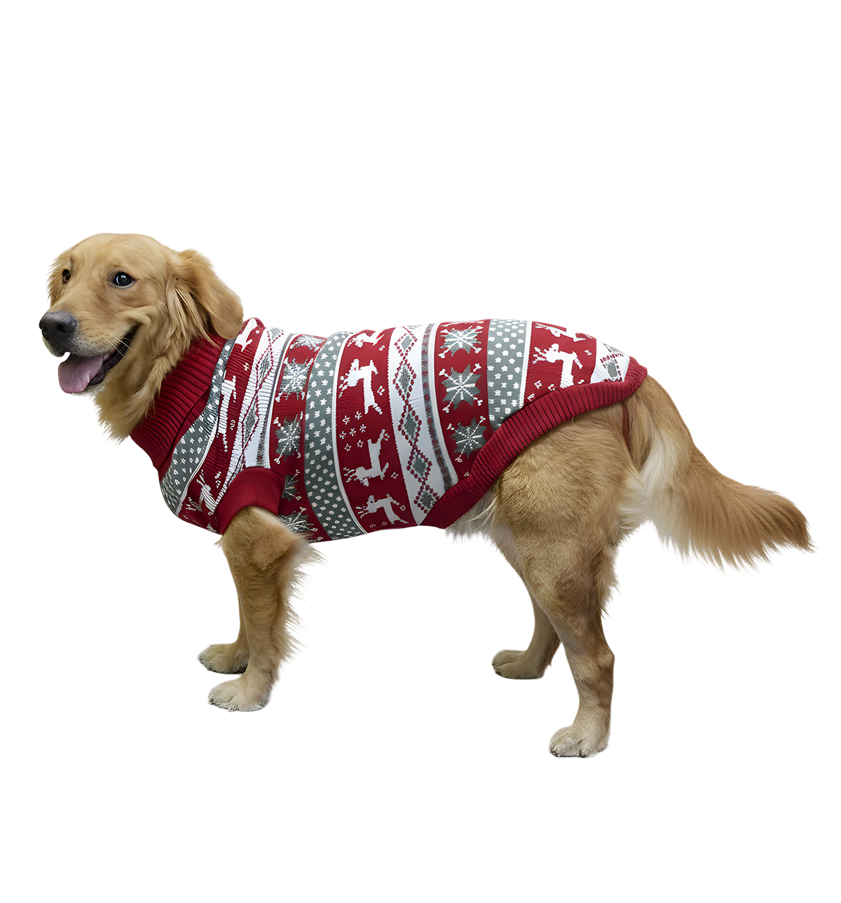 Rafi-Christmas Pet Sweater