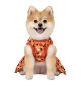 Dina-Halloween Pet Dress