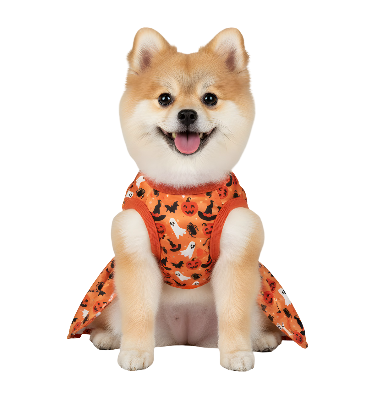 Dina-Halloween Pet Dress