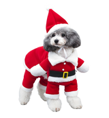 Trix-Christmas Pet Suit