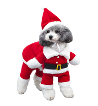 Trix-Christmas Pet Suit