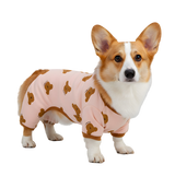Coco-Bear Pet Onesie