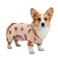 Coco-Bear Pet Onesie