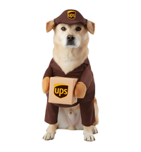 Dexo-Delivery Pet Suit