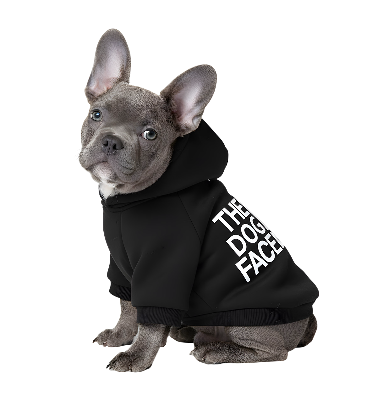 Rafi-Urban Dog Hoodie