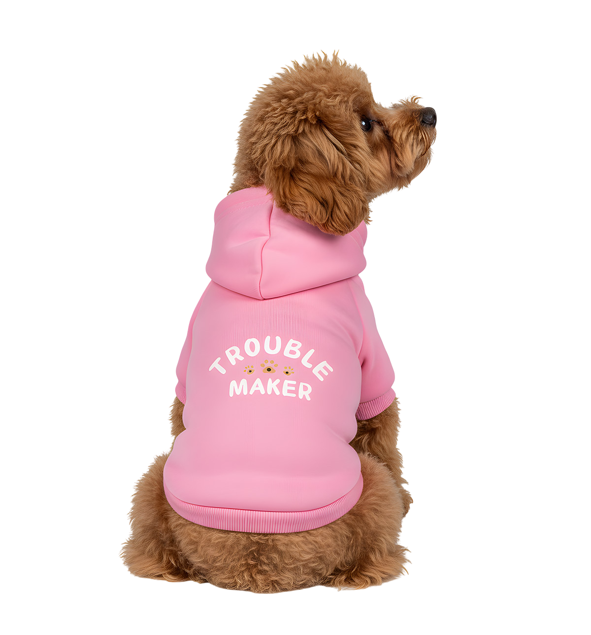 Taffy-Trouble Hoodie