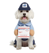 Dexo-Delivery Pet Suit