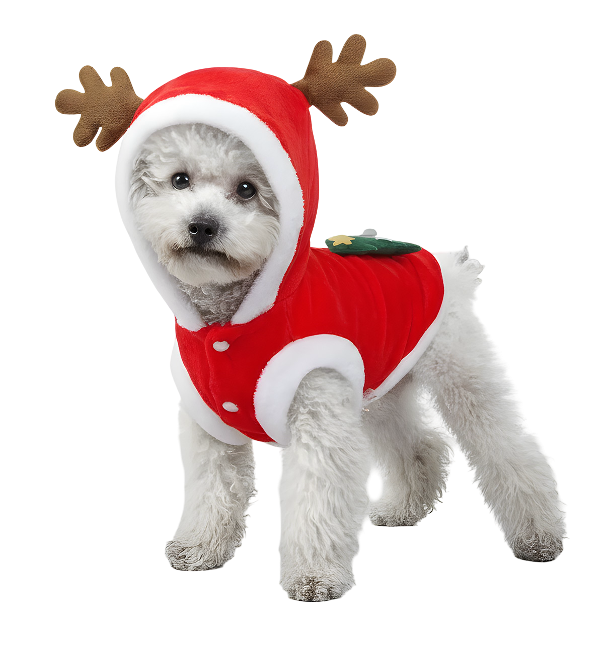 Roxy-Reindeer Pet Suit