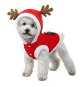 Roxy-Reindeer Pet Suit