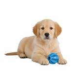 Ruby-Color Bite Balls