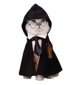Luna-Wizard Cat Cloak