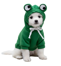 Lupy-Funny Frog Outfit