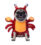 Kira-Crab Pet Costume