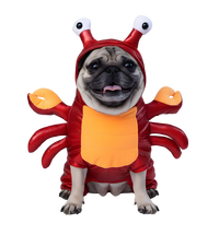 Kira-Crab Pet Costume