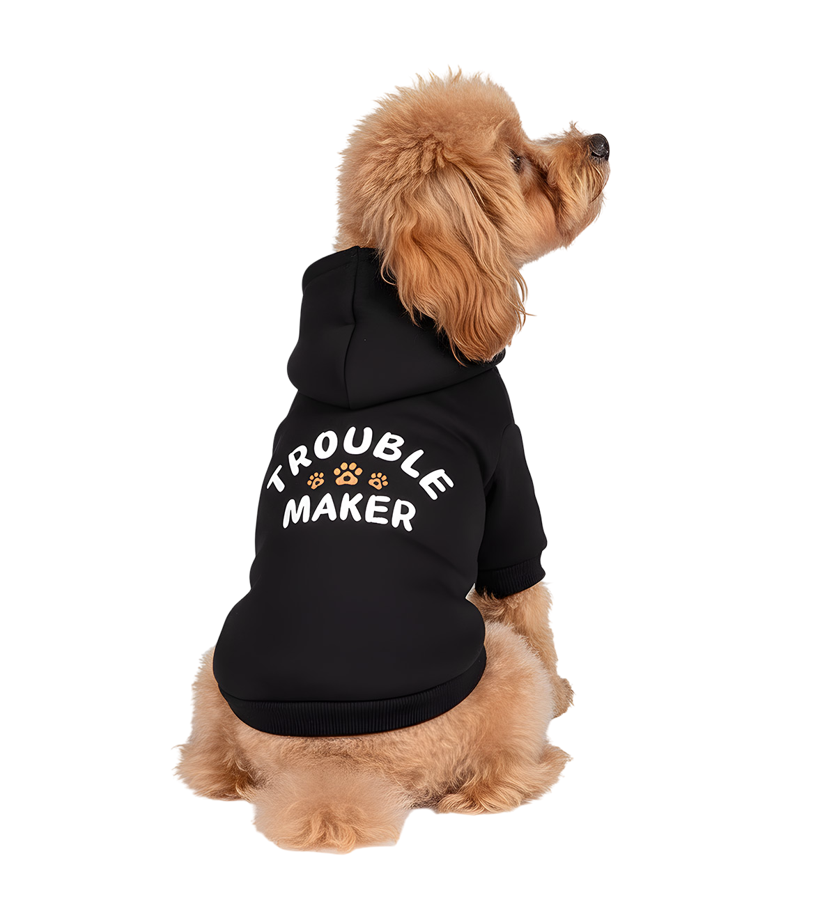 Taffy-Trouble Hoodie