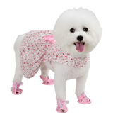 Liny-Floral Pet Dress