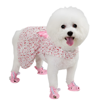 Liny-Floral Pet Dress