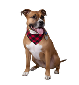 Toby-Winter Plaid Scarf