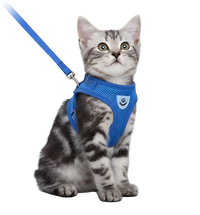Milo-Cat Safety Harness