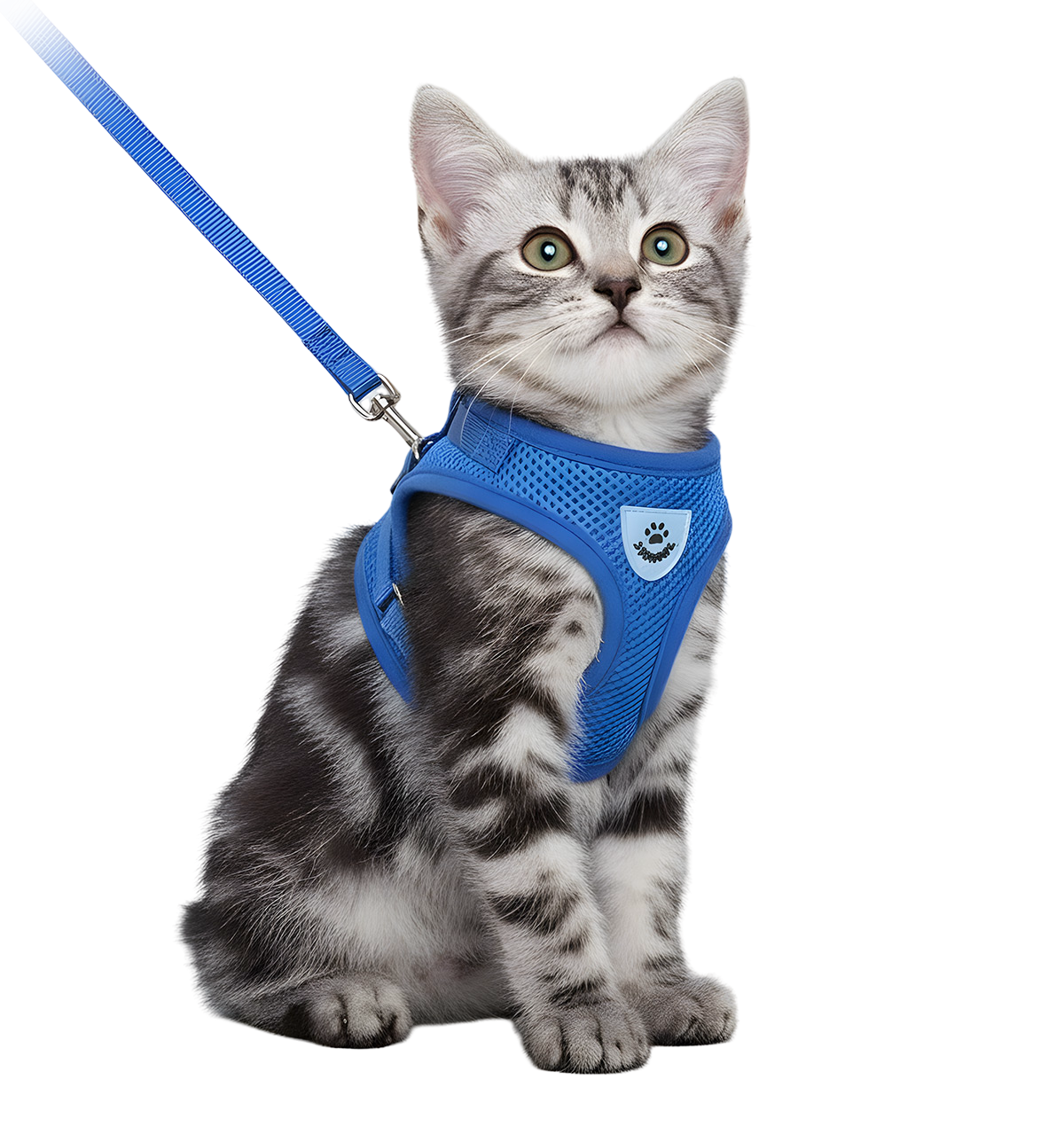 Milo-Cat Safety Harness