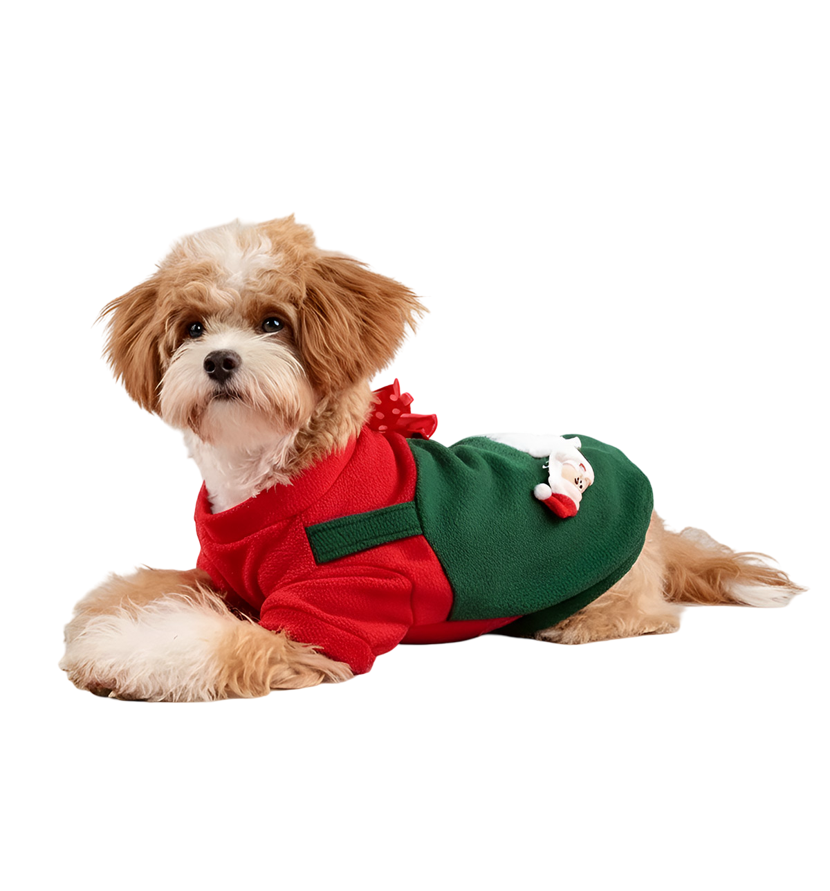 Noel-Holiday Pet Suit