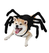 Lumo-Halloween Spider