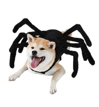 Lumo-Halloween Spider