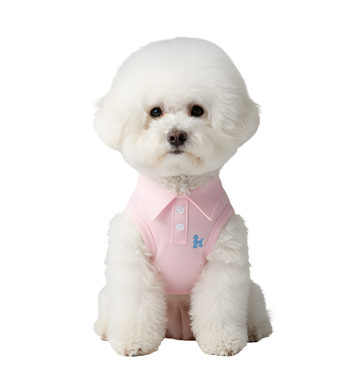 Luki-Classic Polo Suit