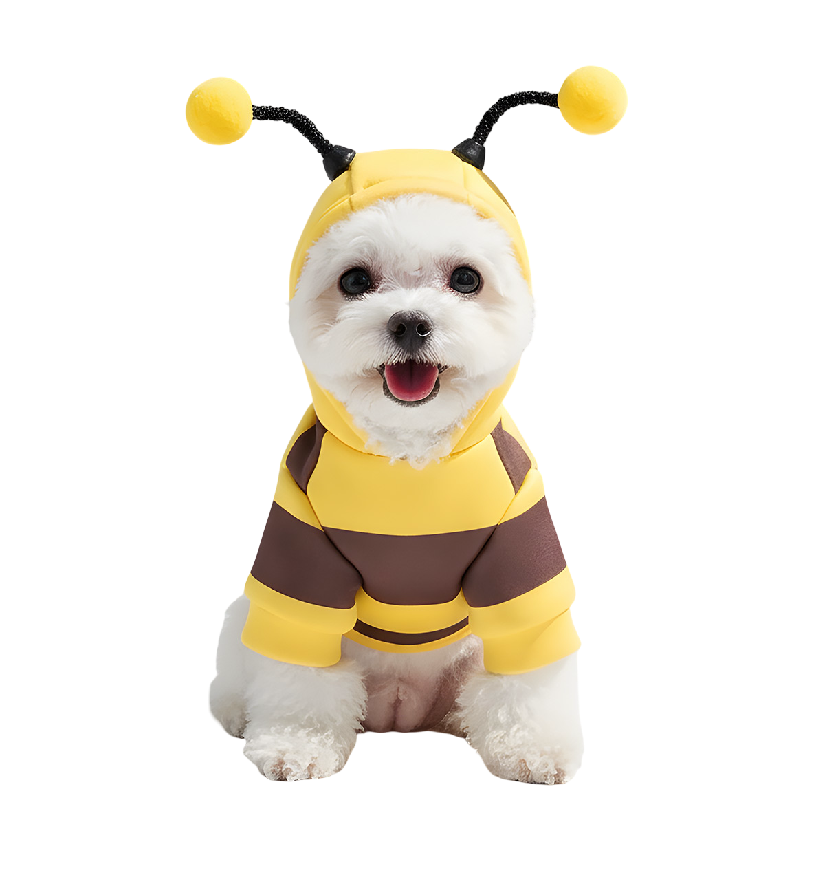 Nina-Bee Pet Hoodie
