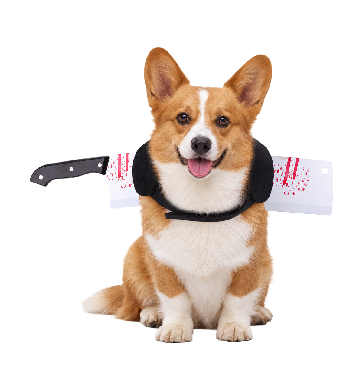 Halloween Knife Pet Collar