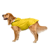 Milo-Outdoor Pet Rainwear