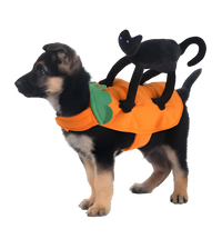 Trix-Halloween Pet Suit