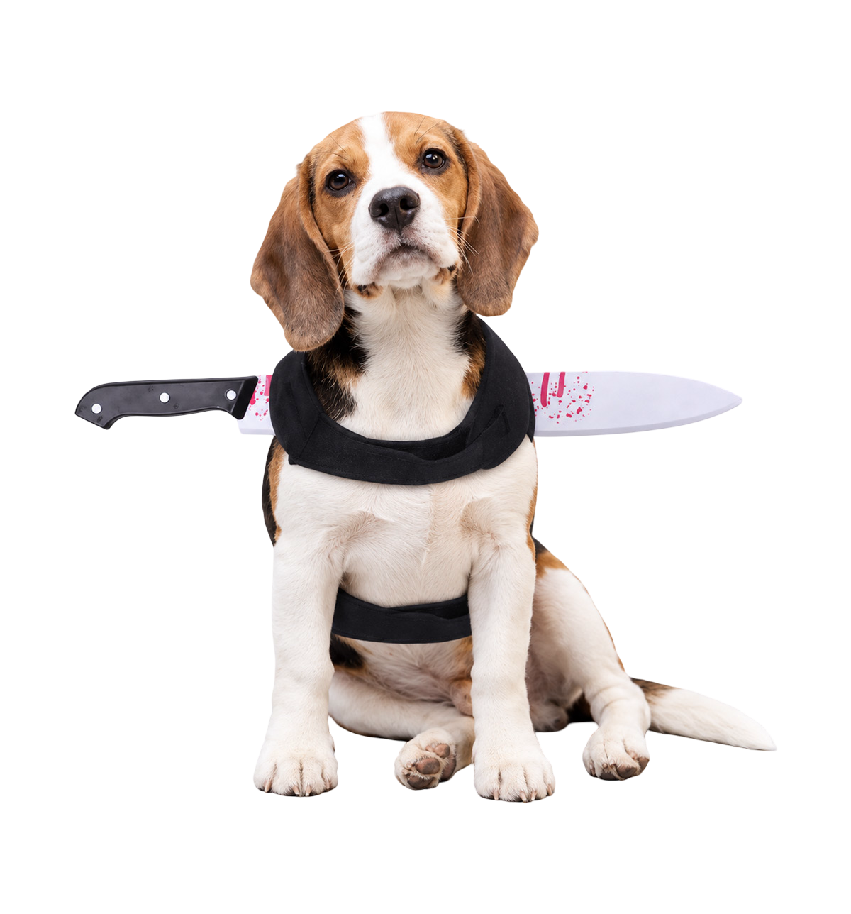 Halloween Knife Pet Collar