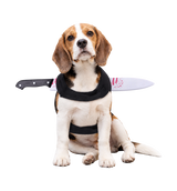 Halloween Knife Pet Collar