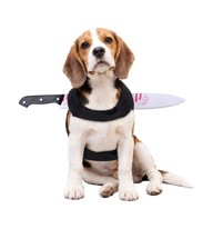 Halloween Knife Pet Collar
