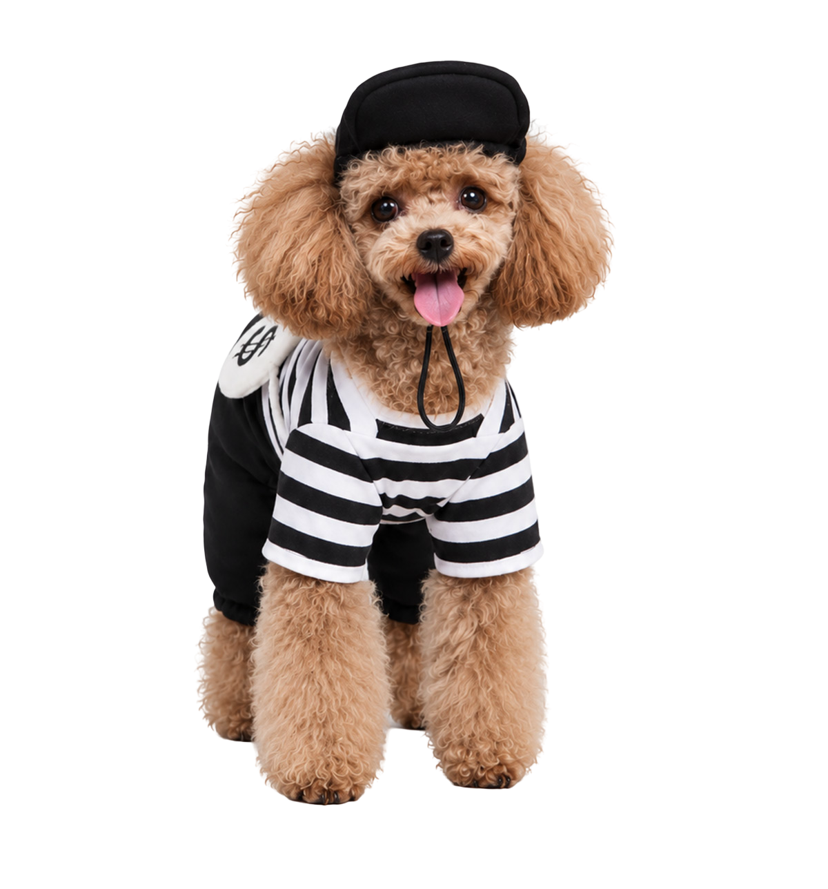 Prisoner Pet Costume