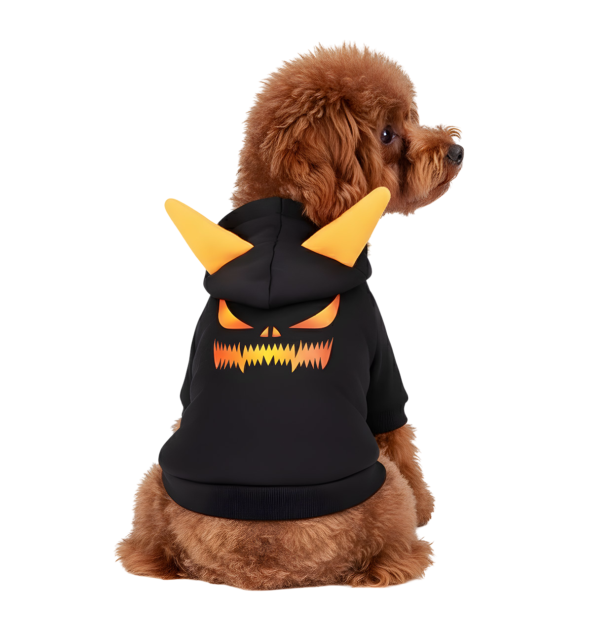 Roxy-Spooky Pet Hoodie